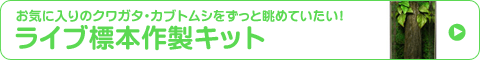 �饤��ɸ��