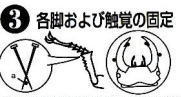 ����ɸ�� �饤��ɸ�ܺ������å�6
