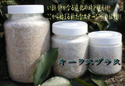 菌糸ビン 菌糸瓶