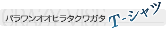 �ѥ��󥪥��ҥ饿���塞�����ԥ����