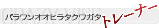 �ѥ��󥪥��ҥ饿���塞�����ȥ졼�ʡ�
